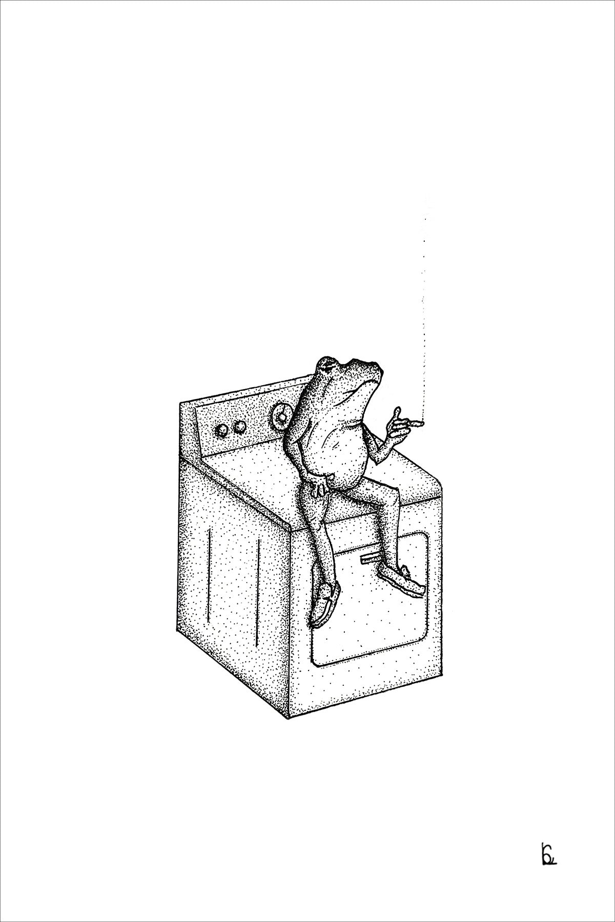 Laundry Frog Print